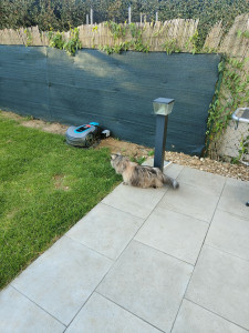 Photo de galerie - Installation électrique