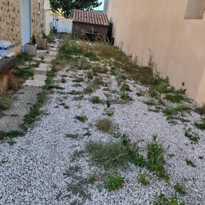 Photo de galerie - Paysagiste - Aménagement du jardin