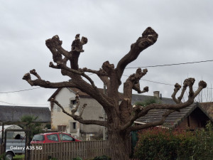 Photo de galerie - Après 