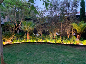 Photo de galerie - Conception d’un jardin 