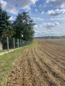 Photo de galerie - Paysagiste - Aménagement du jardin
