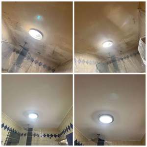 Photo de galerie - Peinture - Tapisserie