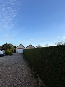 Photo de galerie - Taille haie 