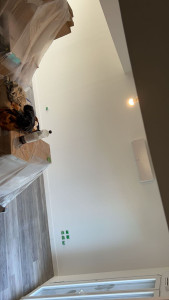 Photo de galerie - Application couche de peinture 