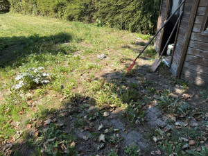 Photo de galerie - Nettoyage, terrasse et jardin (AVANT)