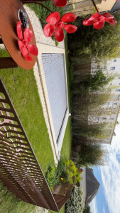 Photo de galerie - Tonte de pelouse - Débroussaillage