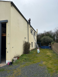 Photo de galerie - Demoussage