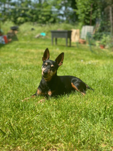 Photo de galerie - Trop bon le soleil 