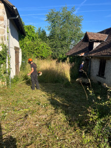 Photo de galerie - Remise en état herbe haute 