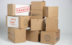 Photo de galerie -     aide au chargement et déchargement ; * porter les cartons et meubles ; * aider à ranger et déplacer les affaires.
