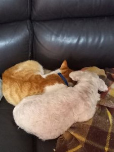 Photo de galerie - Filou et Vanille