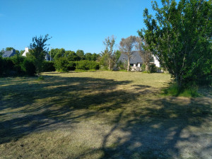 Photo de galerie - Chantier de tonte en cours 
