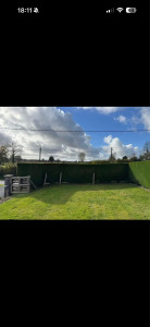 Photo de galerie - Taille de haie 