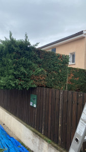 Photo de galerie - Taille de haies et d'arbustes