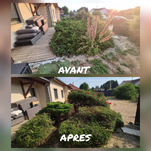 Photo de galerie - Taille d'arbustes 