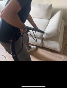 Photo de galerie - Aspiration des débris et poussière avant shampouinage 