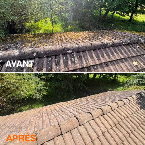 Photo de galerie - Nettoyage demoussage toiture 