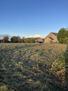 Photo de galerie - Défrichage de terrain 