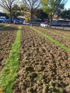 Photo de galerie - Voici un chantier . Labourer et préparation de jardin.  