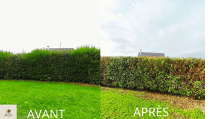 Photo de galerie - Taille de haies et d'arbustes