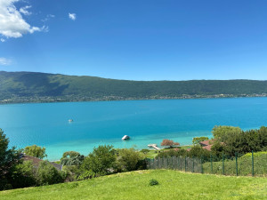 Photo de galerie - Tonte et débroussaillage Veyrier du lac(Annecy)