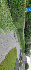 Photo de galerie - Espaces verts