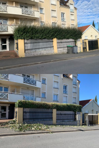 Photo de galerie - Taille de haie 