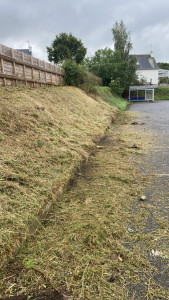 Photo de galerie - Débroussaillage 