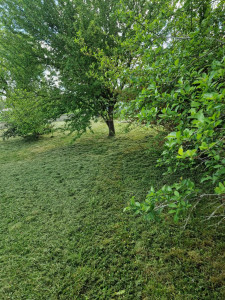 Photo de galerie - Journée tonte 