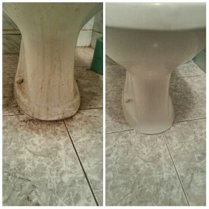 Photo de galerie - Nettoyage et désinfection complète des toilettes avec un produit professionnel, pour une hygiène impeccable et durable