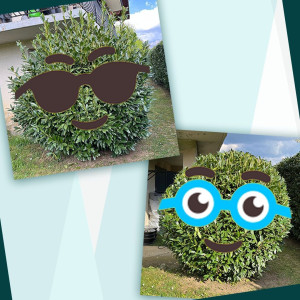 Photo de galerie - Taille arbuste