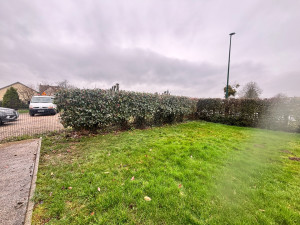 Photo de galerie - Taille de haie 