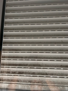 Photo de galerie - Ménage