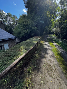 Photo de galerie - Taille de haies et d'arbustes