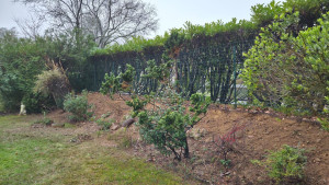 Photo de galerie - Jardinier