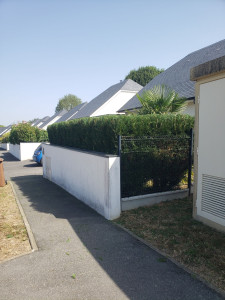 Photo de galerie - Petite haie 