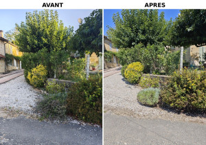 Photo de galerie - Mise au propre d'un massif