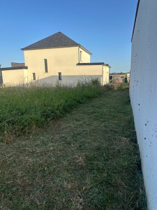 Photo de galerie - Tonte de pelouse - Débroussaillage