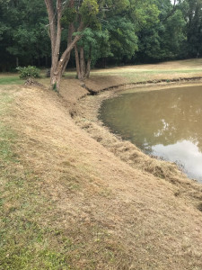 Photo de galerie - Entretien espaces verts 