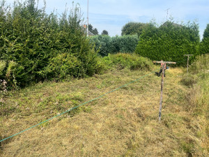 Photo de galerie - Chantier débroussaillage 