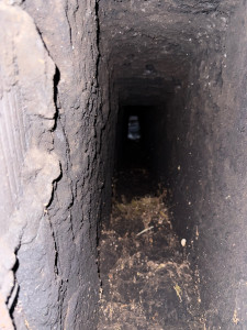 Photo de galerie - Ramonage cheminée 