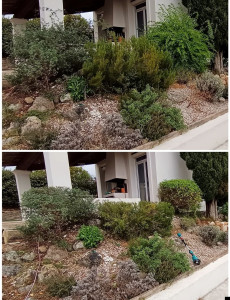 Photo de galerie - Entretien massif méditerranéen 