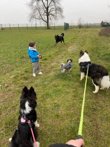 Photo de galerie - Balade avec toute taille de toutou, les Dalton ? ? 