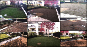 Photo de galerie - Paysagiste - Aménagement du jardin