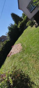 Photo de galerie - Tonte de pelouse , débroussailleuse 