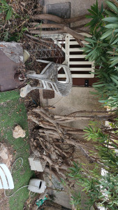 Photo de galerie - Paysagiste - Aménagement du jardin