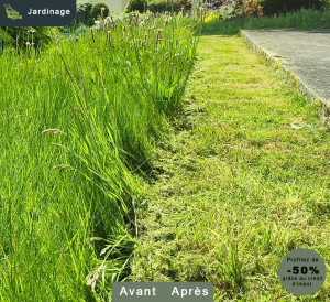 Photo de galerie - Tonte de pelouse - Débroussaillage