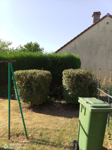 Photo de galerie - Taillage de haie 