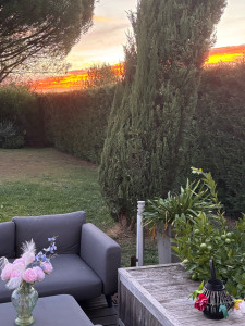 Photo de galerie - Jolie couche de soleil au travers d’une haie bien taillée 