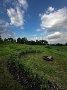 Photo de galerie - Paysagiste - Aménagement du jardin